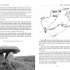 Best Conwy Valley walks